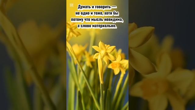 Слова твои да будут немноги
