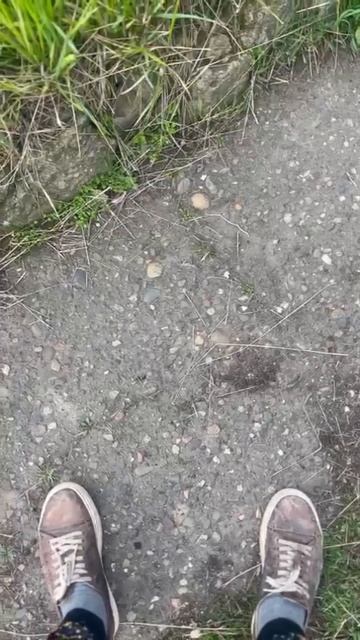 Их небыло, и вот они снова на улицах города‼️