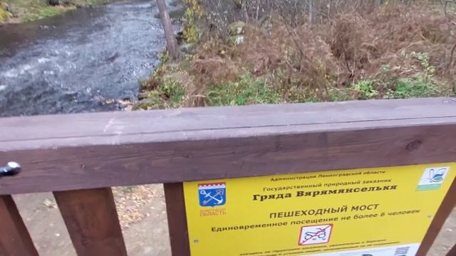 Мост через реку Сайянйоки (Волчья).Беседка. Место для пикника.
