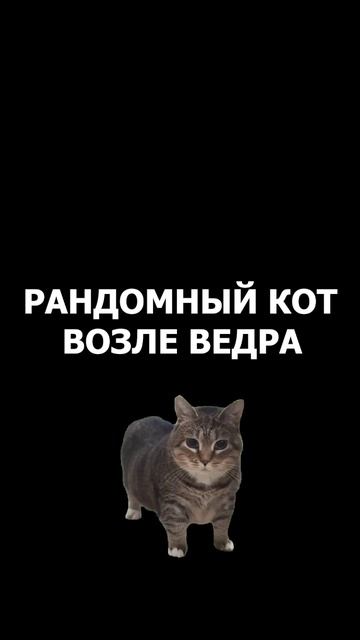 Когда наловил много рыбы! 🎣