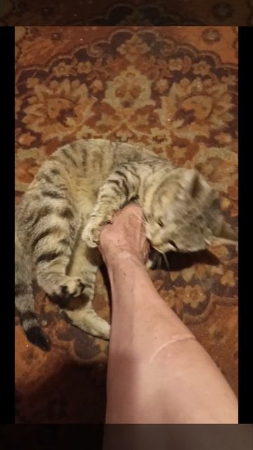 1000002225.mp4