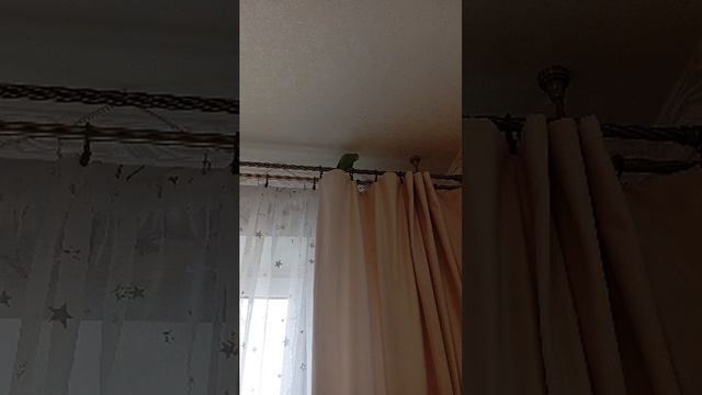 Зажигаем с Кешой 🔥🤟