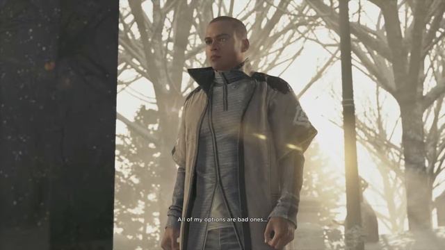 Detroit: Become Human - Markus Visited Manfred's Grave