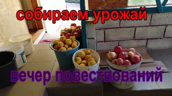№ 892 собираем урожай // вечер повествований))
