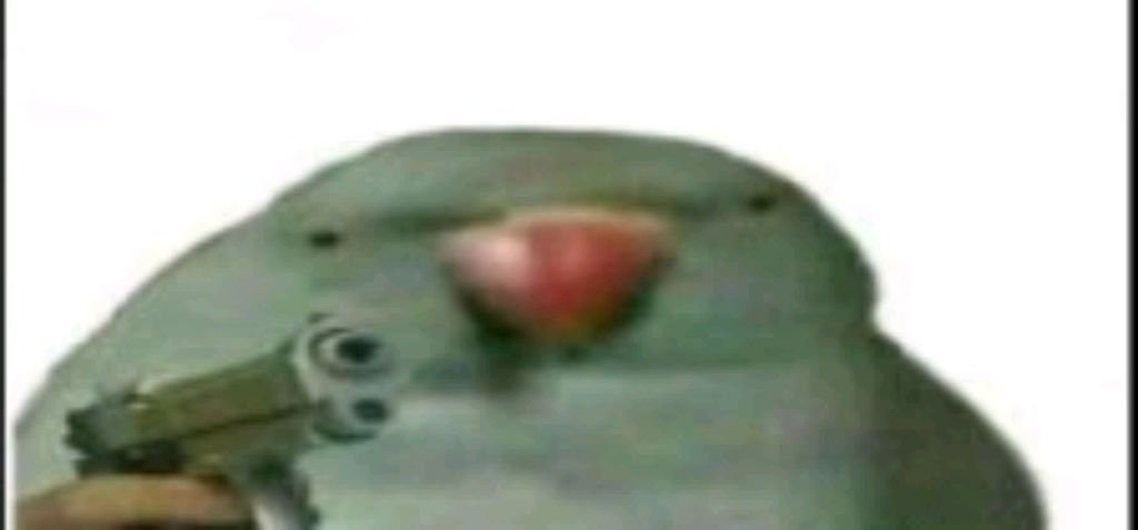 ???