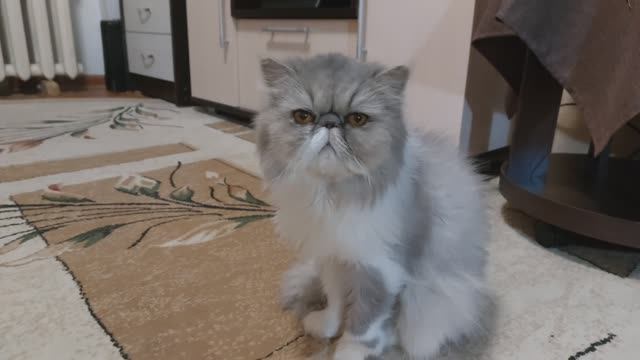 Мой счастливый уголок