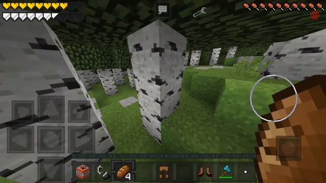 YouTube Tag Aldım ! (Minecraft PE : Survival Games #46)