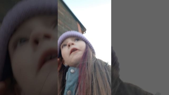 20250329_191459.mp4