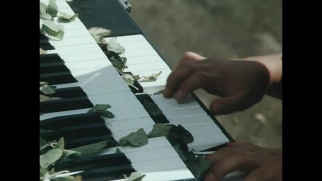 SDreL - О рыцарях в наше время (Cover on Петров и Васечкин)