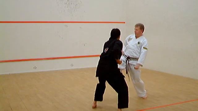 Kihon Ippon Kumite - Set 5