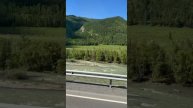 Довольные туристы подпевают Бременским музыкантам! 🎶🌄