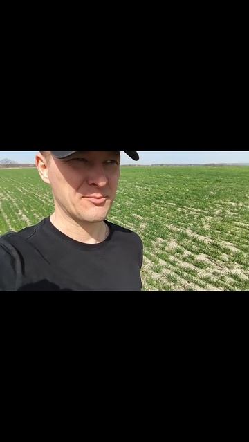 Новый день ☀️, новые эмоции, тепло, продолжается цветение, начали строить дорогу к нашему дому💥