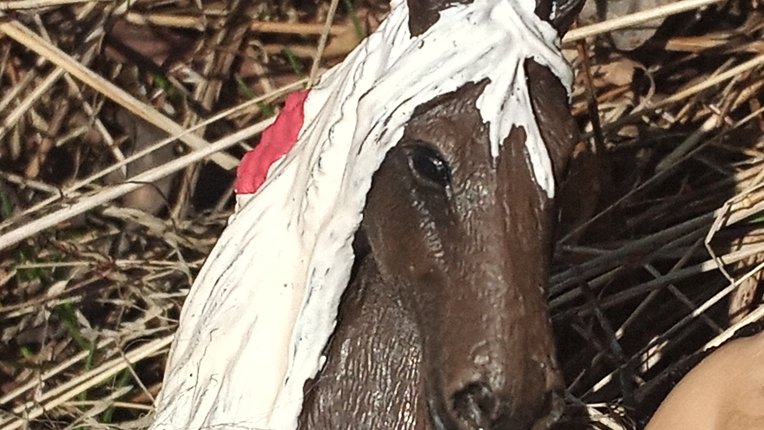 Шляйх сериал Время и жизнь 1 серия(сори в первый раз не то выложила)