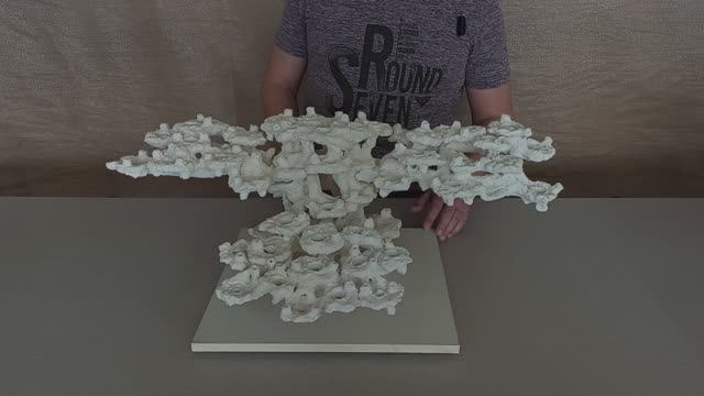 ДФ-373 Декорация из биокерамики для морского аквариума.