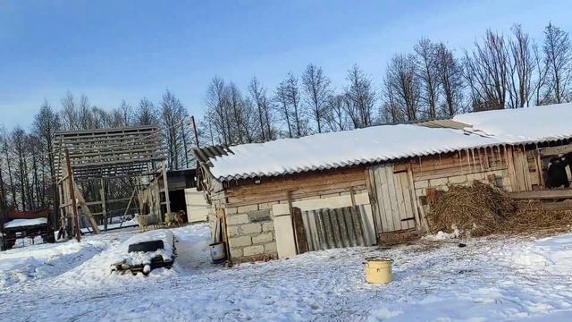 У нас мороз ❄❄❄, удачный день 😃👍👌