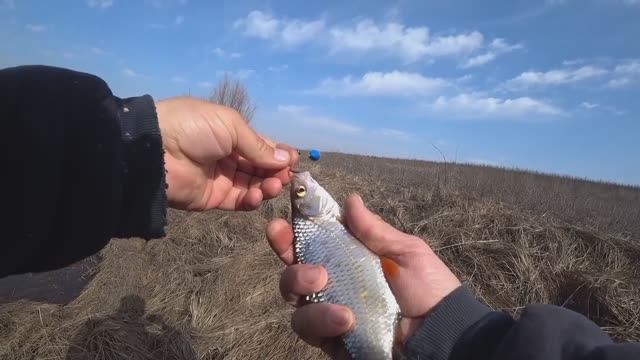 НАДУБАСИЛИ ПЛОТВЫ НА ПОПЛАВОК! Рыбалка в марте.