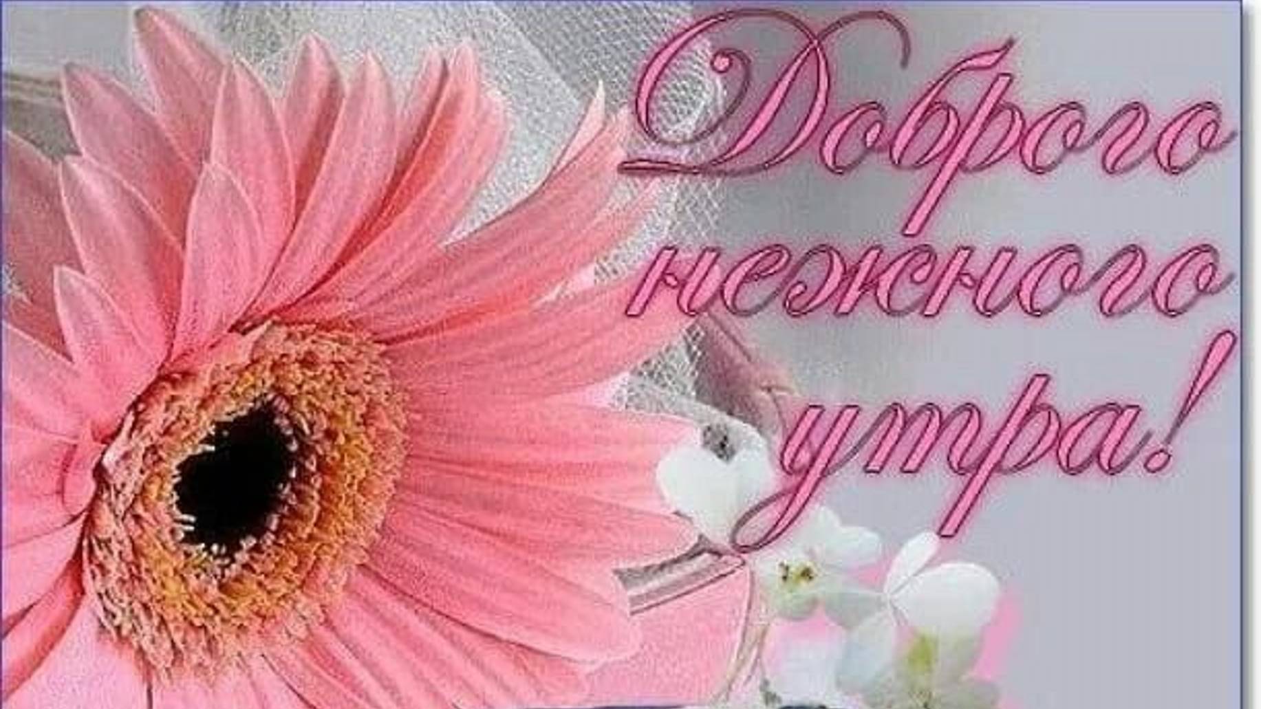 Просто чудесное утреннее послание, от которого на душе станет теплее!