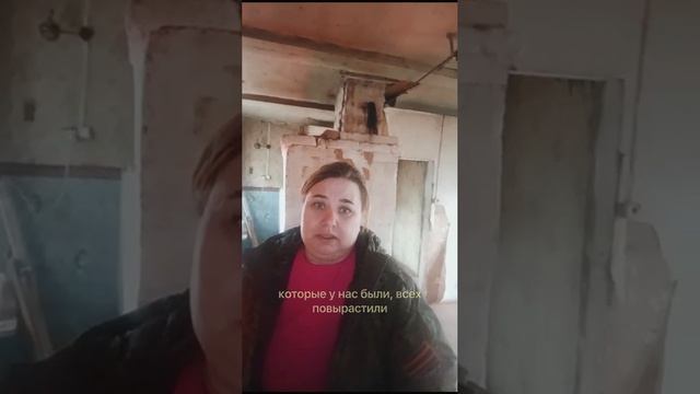 купили новых питомцев