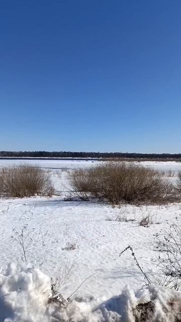 Весенняя Кама в Докше