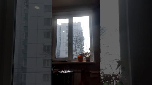 мы и кухня