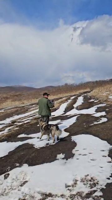 Туристы спасли маленького тюленя на мысе Тобизина в Приморье