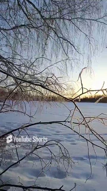 зачем мы ездим в Тайгу?