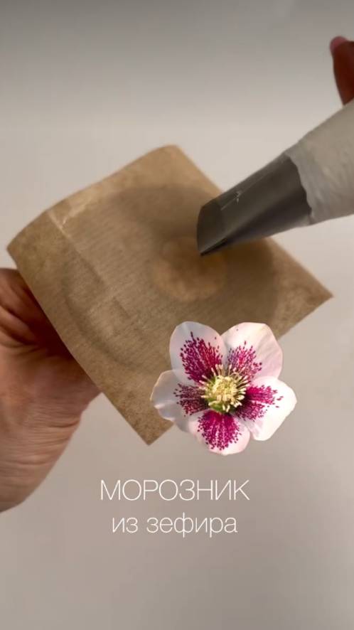 Мини МК Отсадка МОРОЗНИКА.