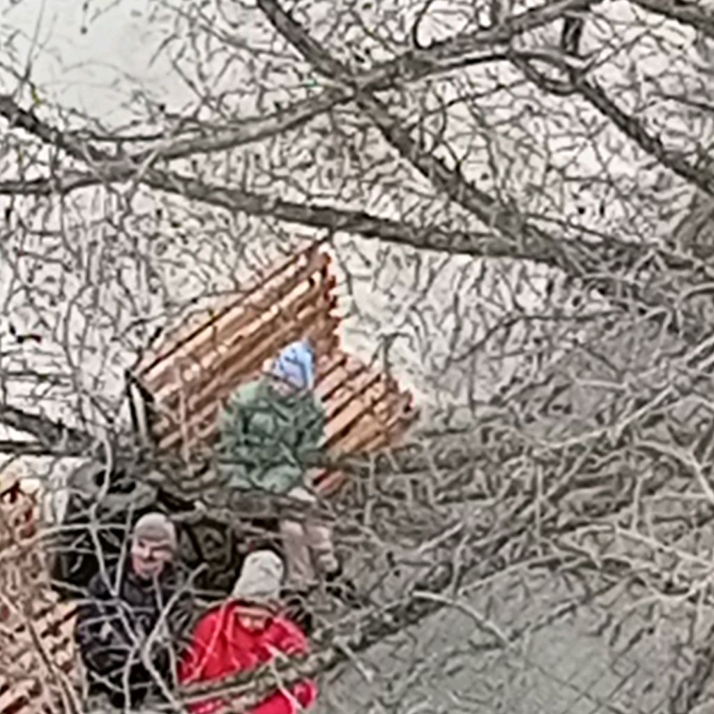 тик
