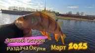 ЗАЯЧИЙ ОСТРОВ РАЗДАЧА ОКУНЯ ЛОВЛЯ ДРОПШОТ МАРТ 2025 РЕЗИНА СИЛИКОН КЛЕВАЛ КАК ПРИВЯЗАНЫЙ