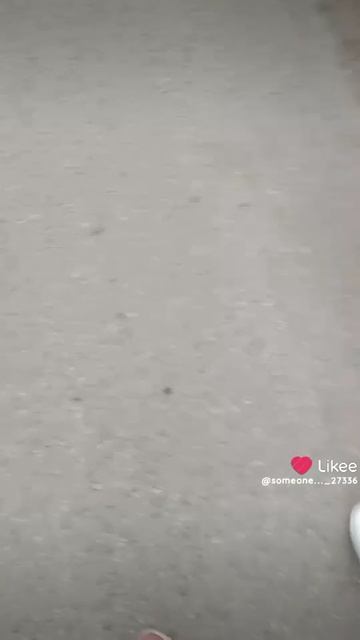 1000030240.mp4