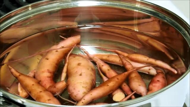 Growing Sweet Potato from Tubers, Days 124-130