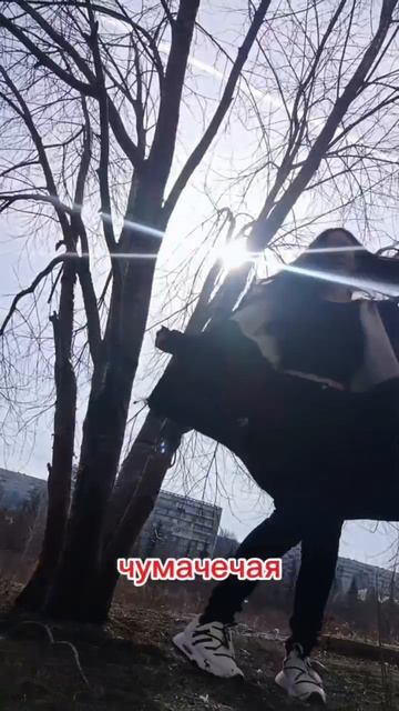 Чумачечая весна