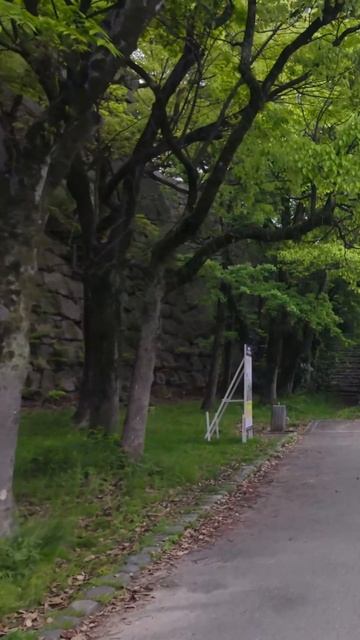 Вечерняя прогулка от Кёбаси через Осакский замковый парк | Осака, Япония 4К городской амбиент