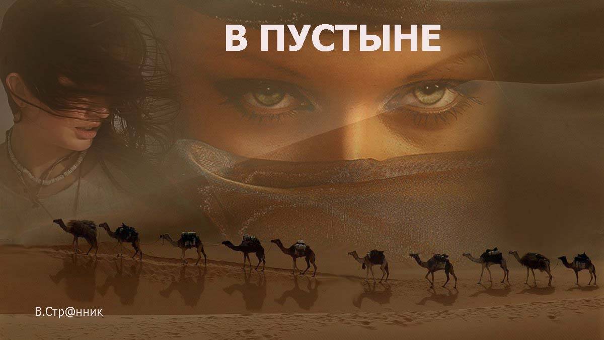 В пустыне - В.Стр@нник