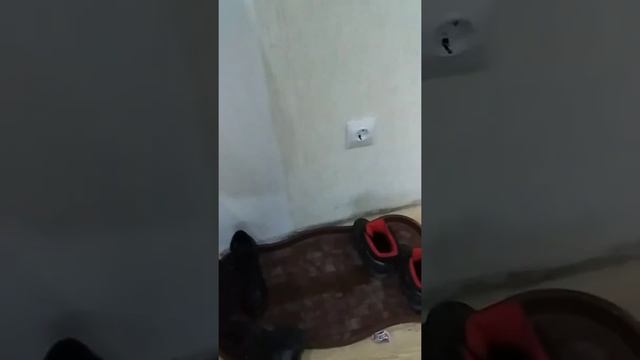 20 февраля 2019 г.