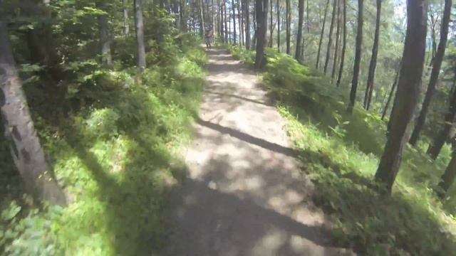 Витоша 100 - 2013 - 06 - Железница - 2