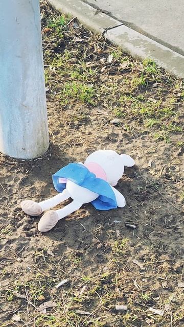 Зайку бросила хозяйка 🐰
