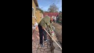 Portugee Clever