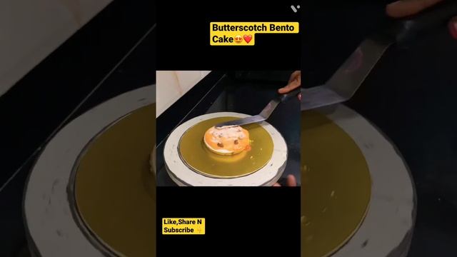 Butterscotch Bento Cake/#bentocake #butterscotchcake #minicakes #mothersday #trending #youtube #son