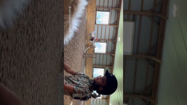 MINI LESSON VLOG!!!!