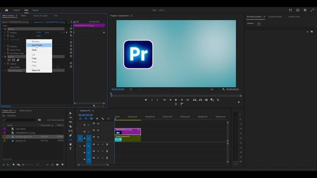 How To CREATE And SAVE PRESETS In Premiere Pro