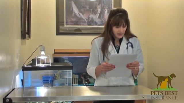 Incontinence and weight loss in senior pets - Dr. Caldwell for Pets Best Insurance