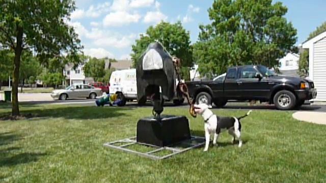 Birth of Mech Bull Baiting short.MOV-.avi