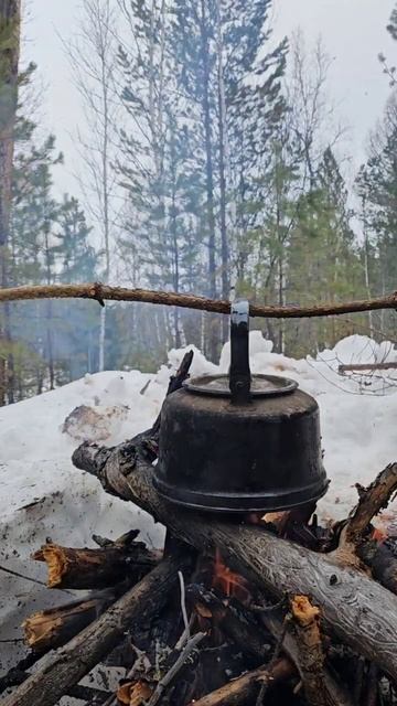 Чай на природе самый вкусный и полезный