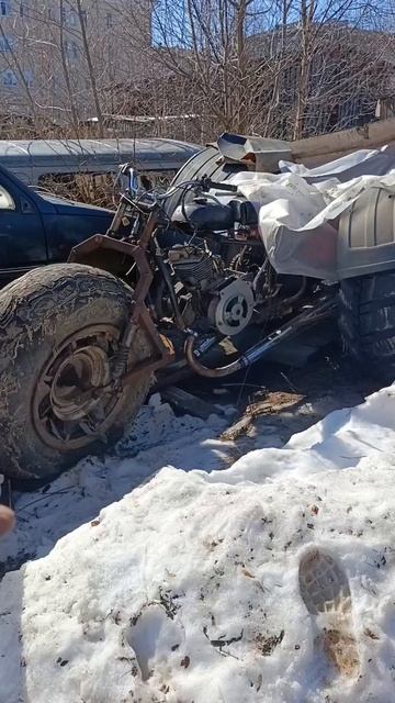 Вылазит из берлоги каракат 😜