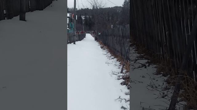 VID_20250328_140653.mp4