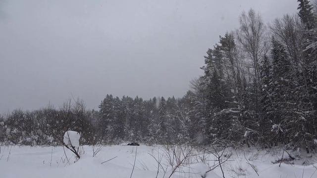 Я ЖИВУ В ЮЖНОЙ ТАЙГЕ 3 СЕРИЯ ОХОТА НА ВОЛКОВ
