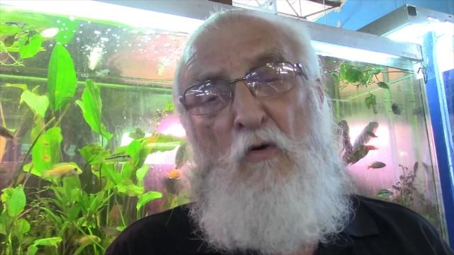HOW TO CREATE A PERFECT AQUARIUM THE FIRST TIME YOU TRY