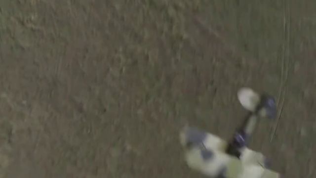 Самолёт По-2