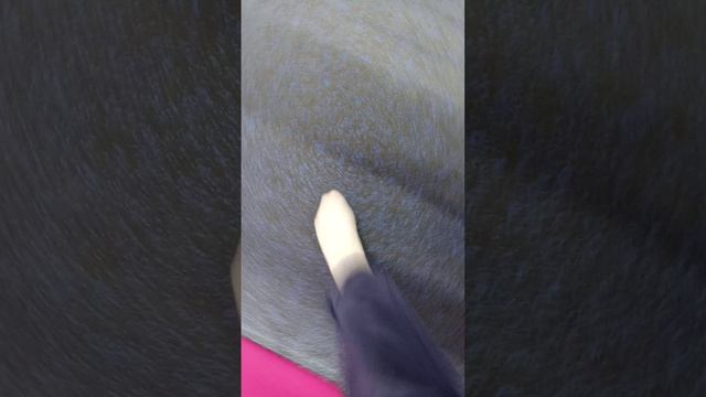 1000038420.mp4